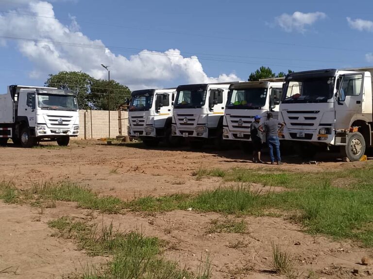 WhatsApp Image 2025-03-24 at 8.37