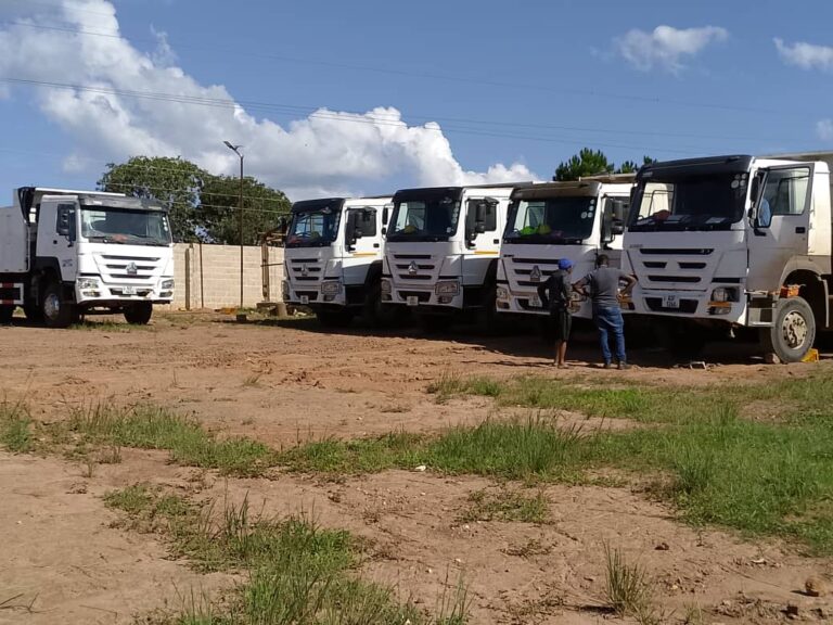 WhatsApp Image 2025-03-24 at 8.37